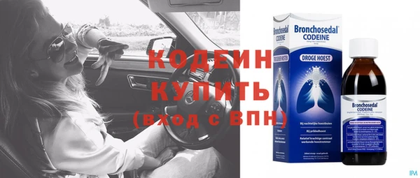 дживик Козельск