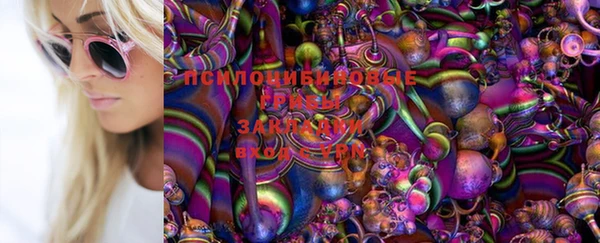 MDMA Кодинск