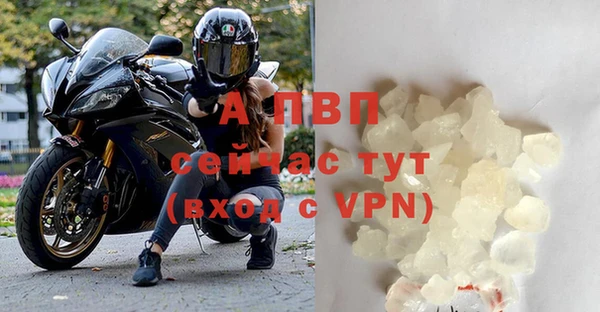 дживик Козельск