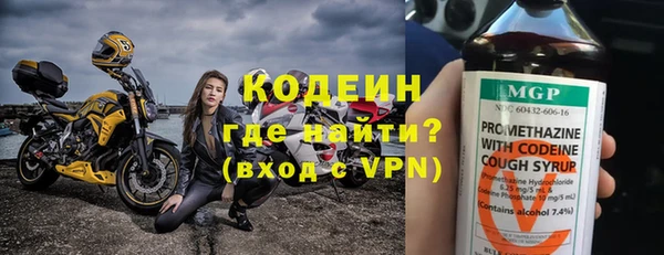 дживик Козельск